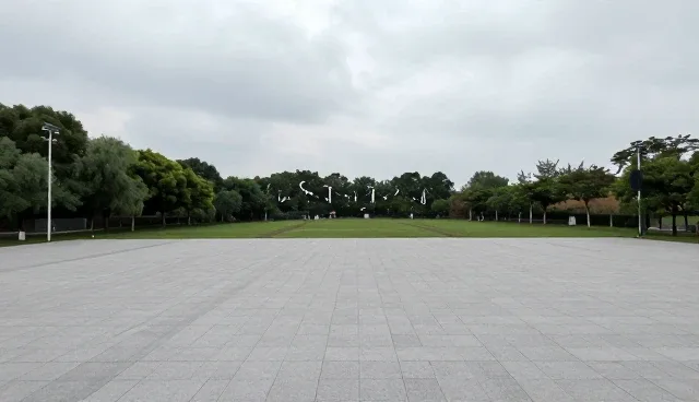 流程优化中的使用与维护建议,如何提升效率